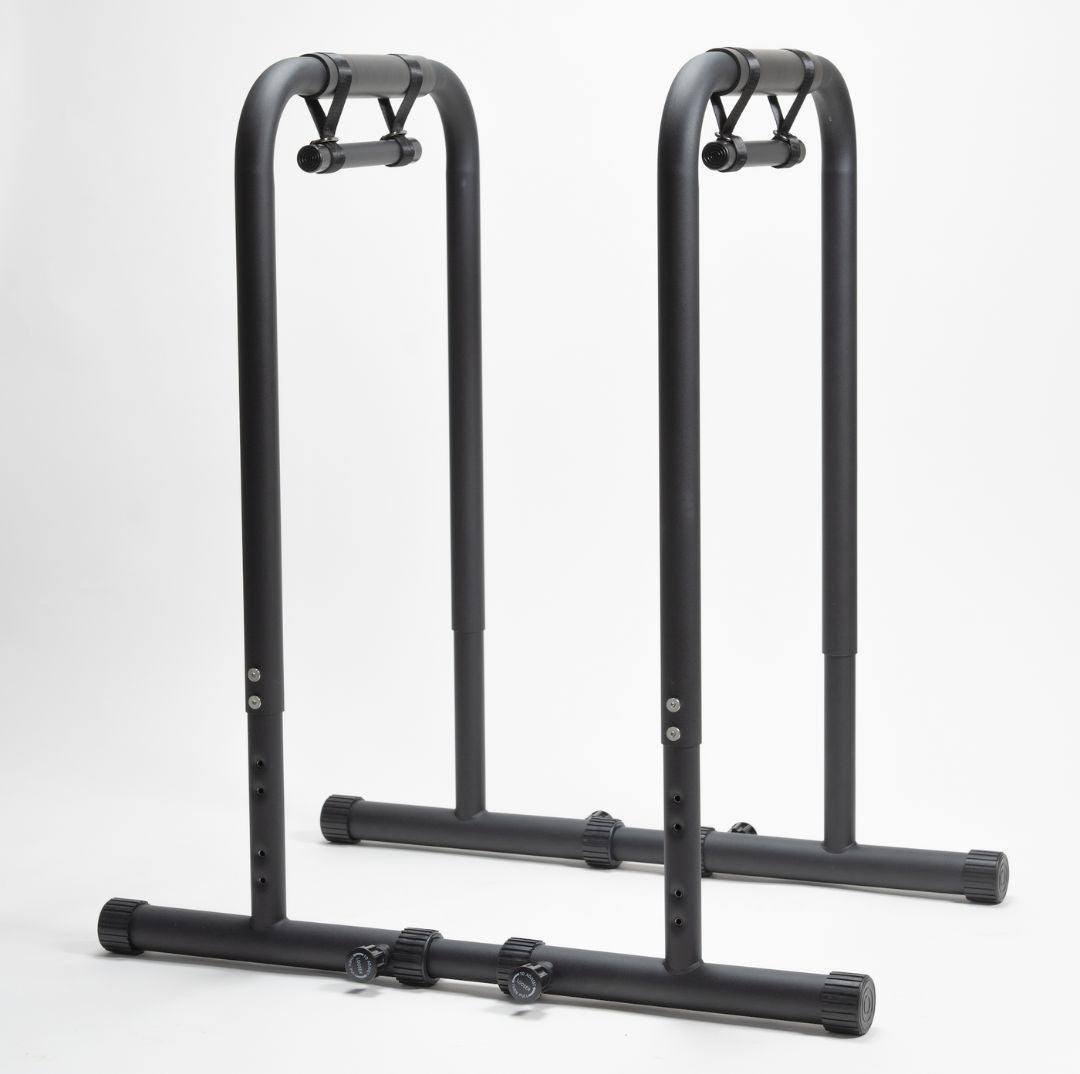 【予約受付中 5月下旬発送】ロー＆ディップススタンド