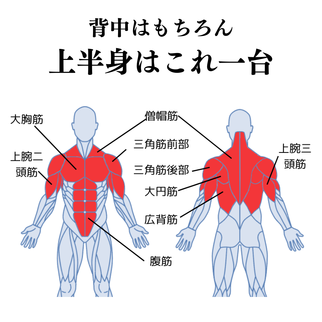 背中はもちろん上半身はこれ一台