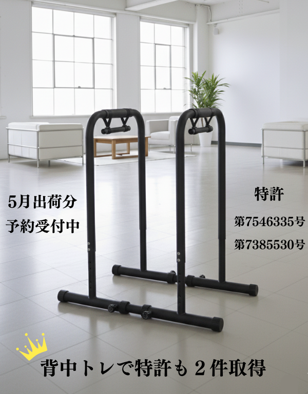 【予約受付中 5月下旬発送】ロー＆ディップススタンド